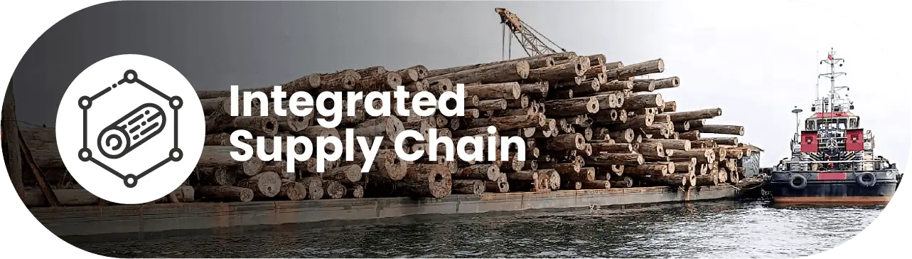 Craftsmanship and Expertise