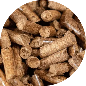 Wood Pellet