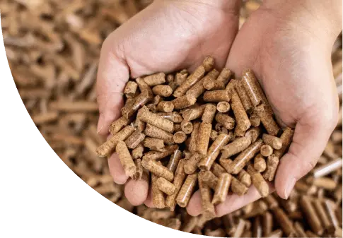 Wood Pellet